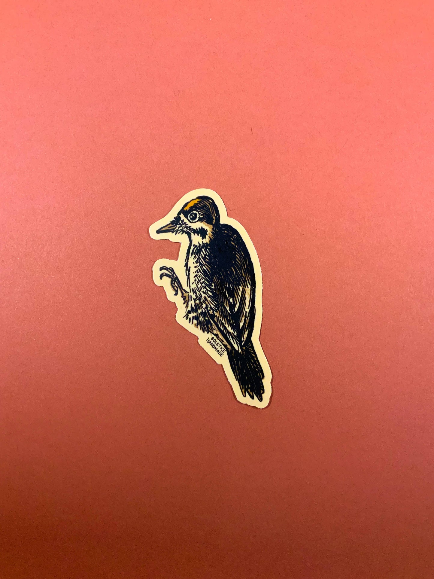 Woodpecker Sticker Set