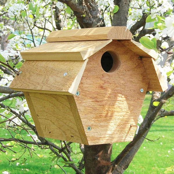 All Purpose Carolina Wren House