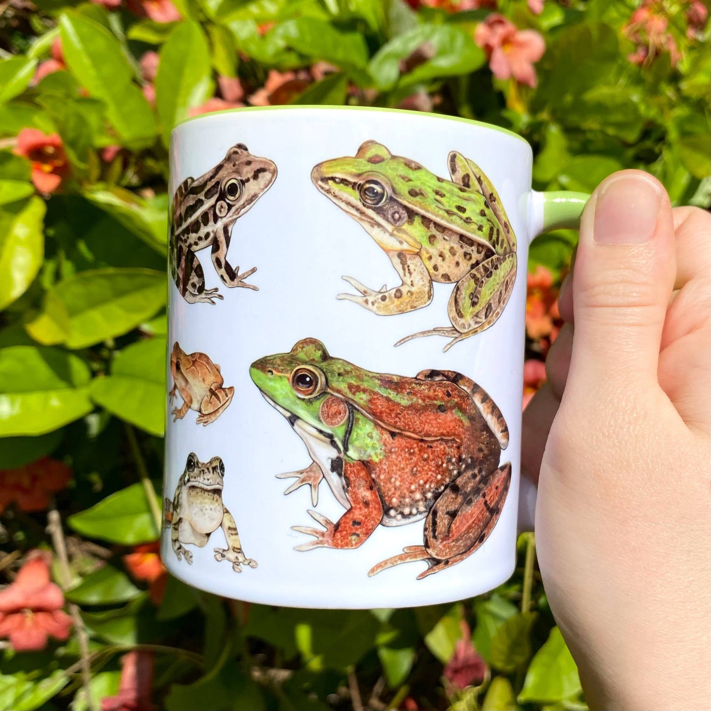 Frog and Toad Mug