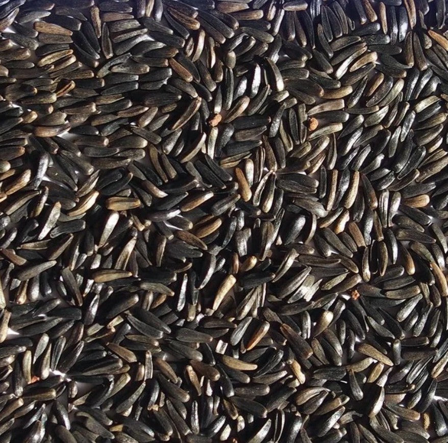 Nyjer (Thistle) Seed 10#