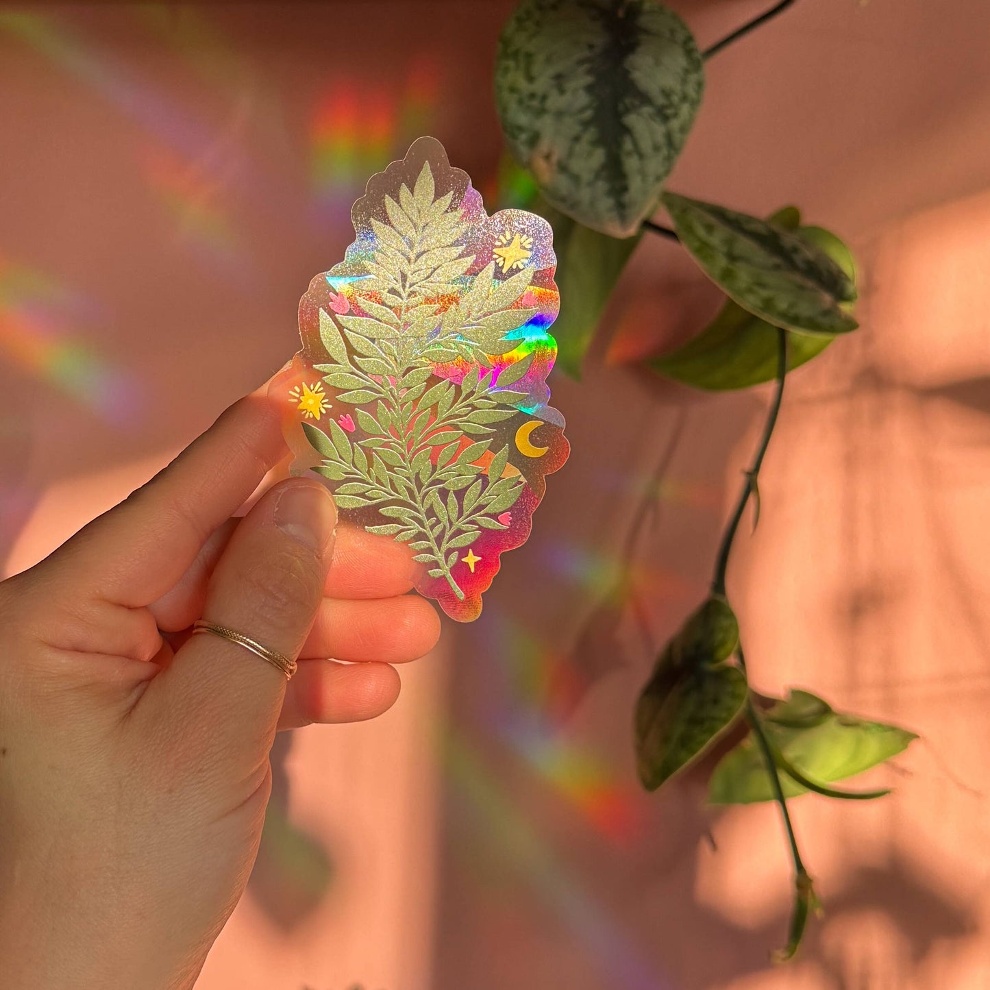 Suncatcher Decal // Fern