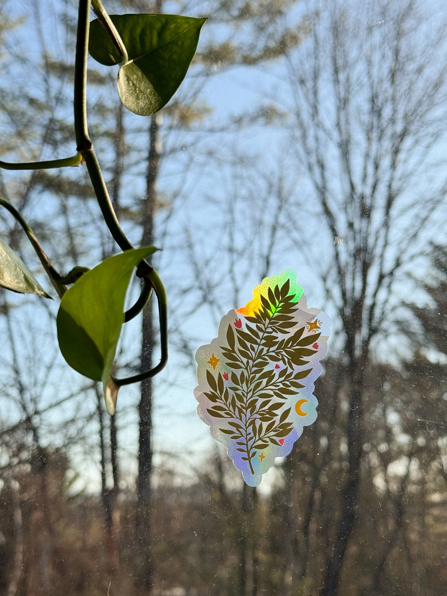 Suncatcher Decal // Fern