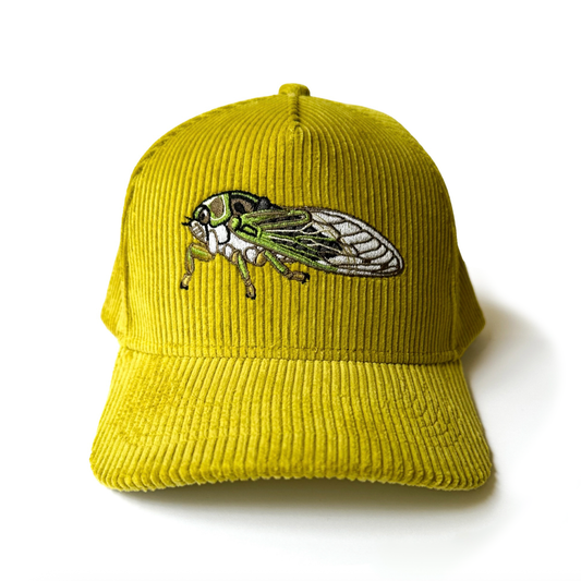 Linne’s Cicada Corduroy Hat