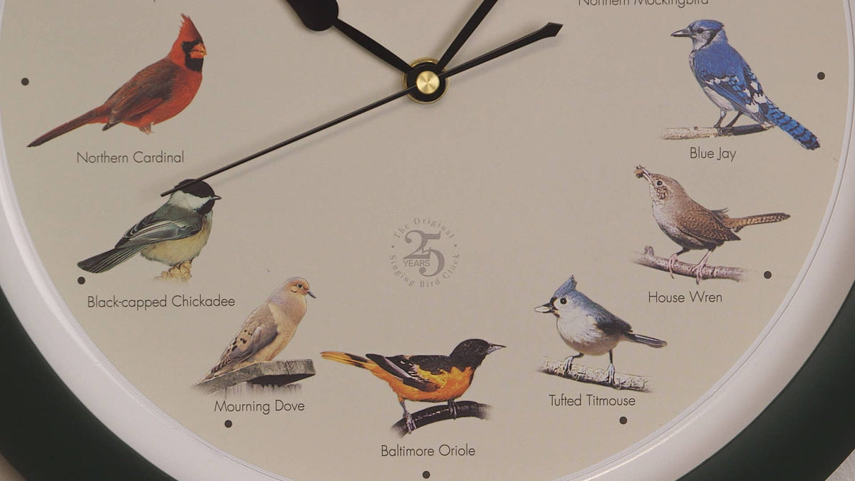 25th Anniversary Original Singing Bird Clock, 13 Inch, Green