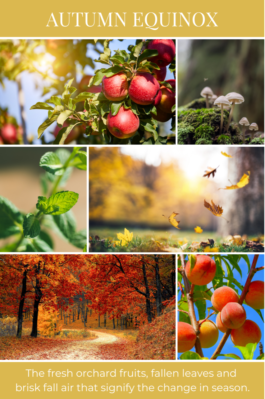 6oz eco candle AUTUMN EQUINOX *NEW