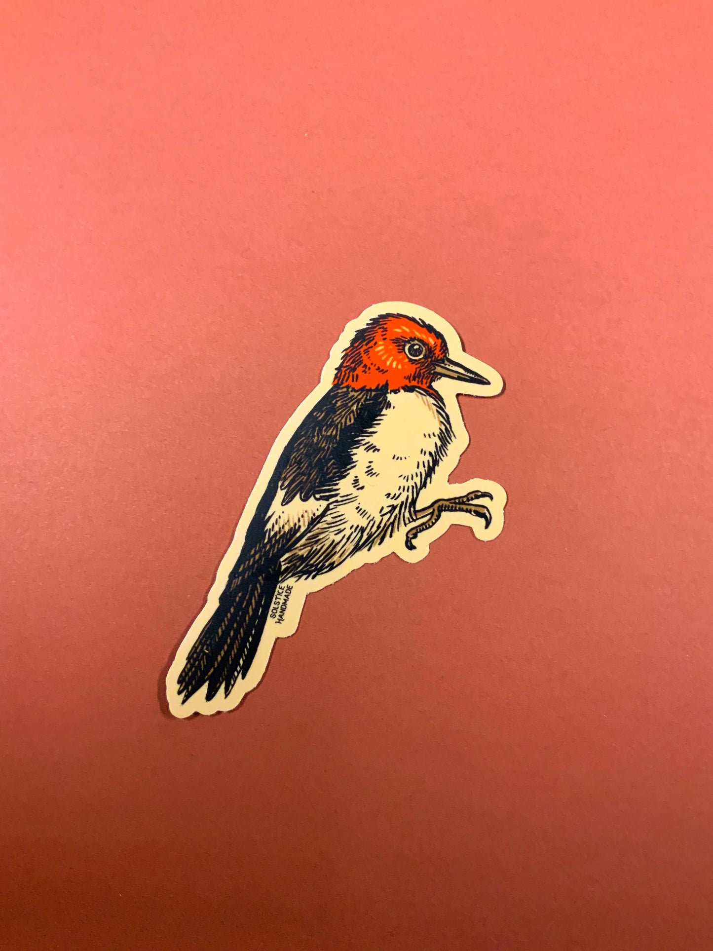 Woodpecker Sticker Set