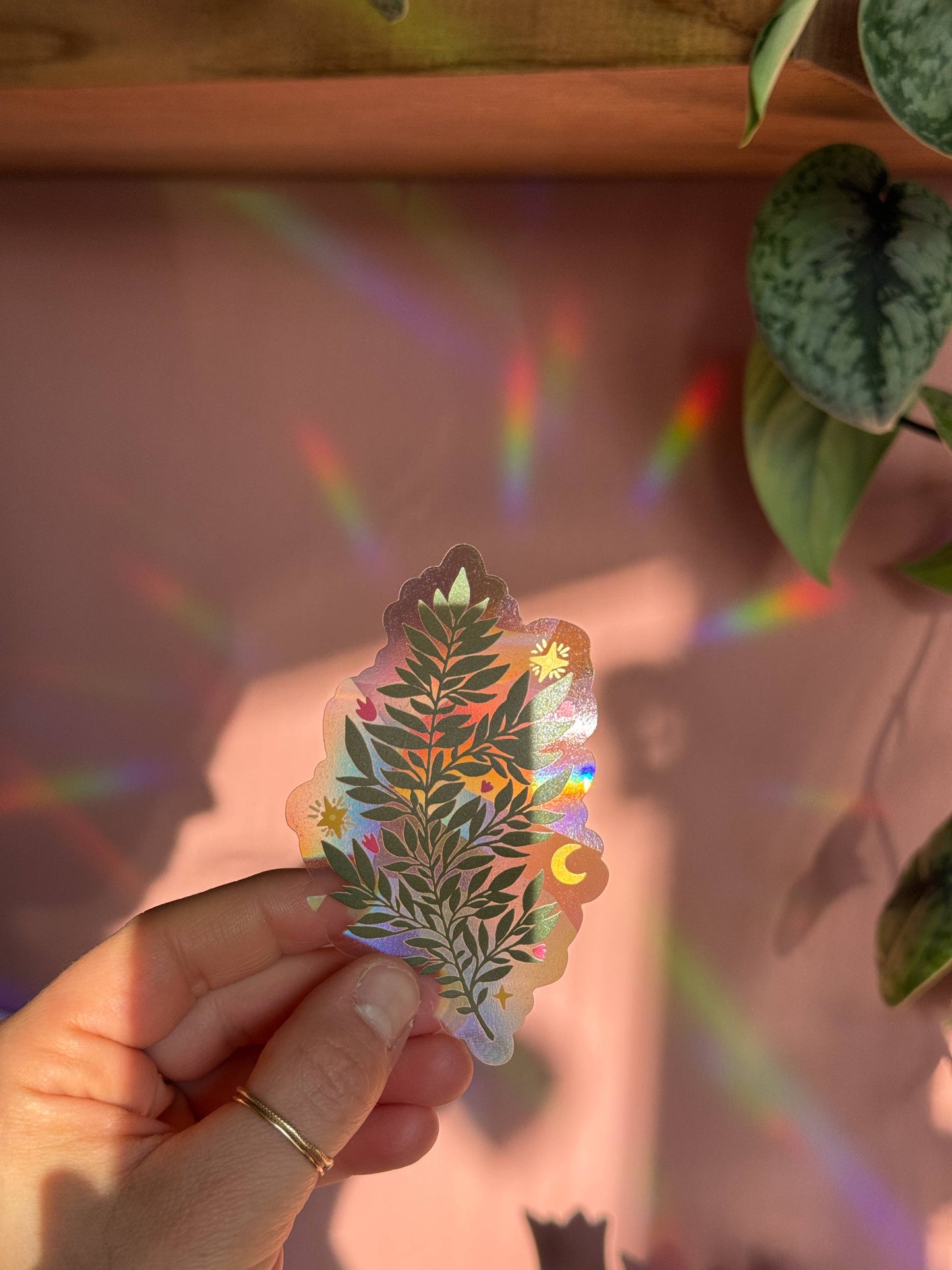 Suncatcher Decal // Fern
