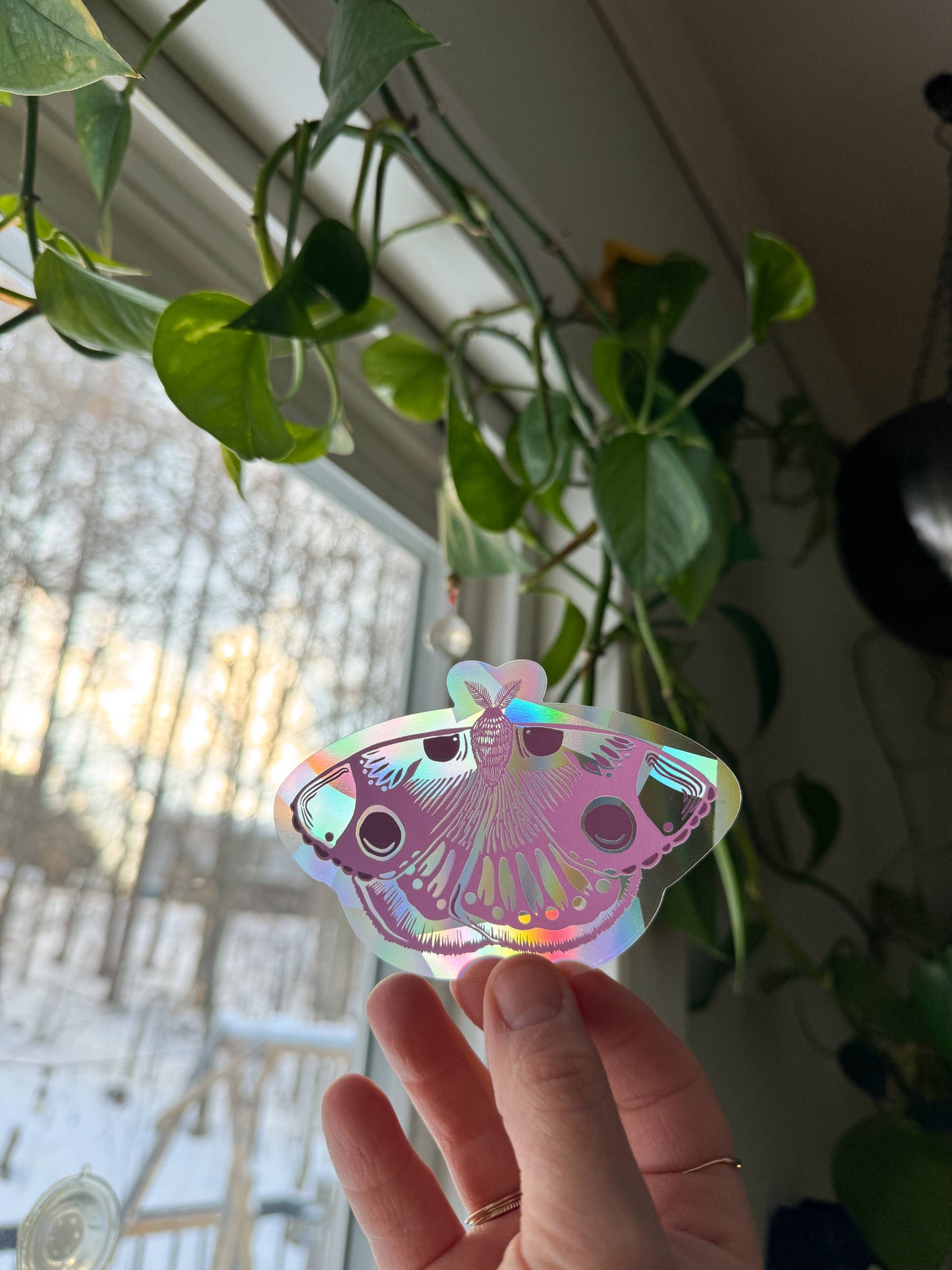 Suncatcher Decal // Moth (lavender)