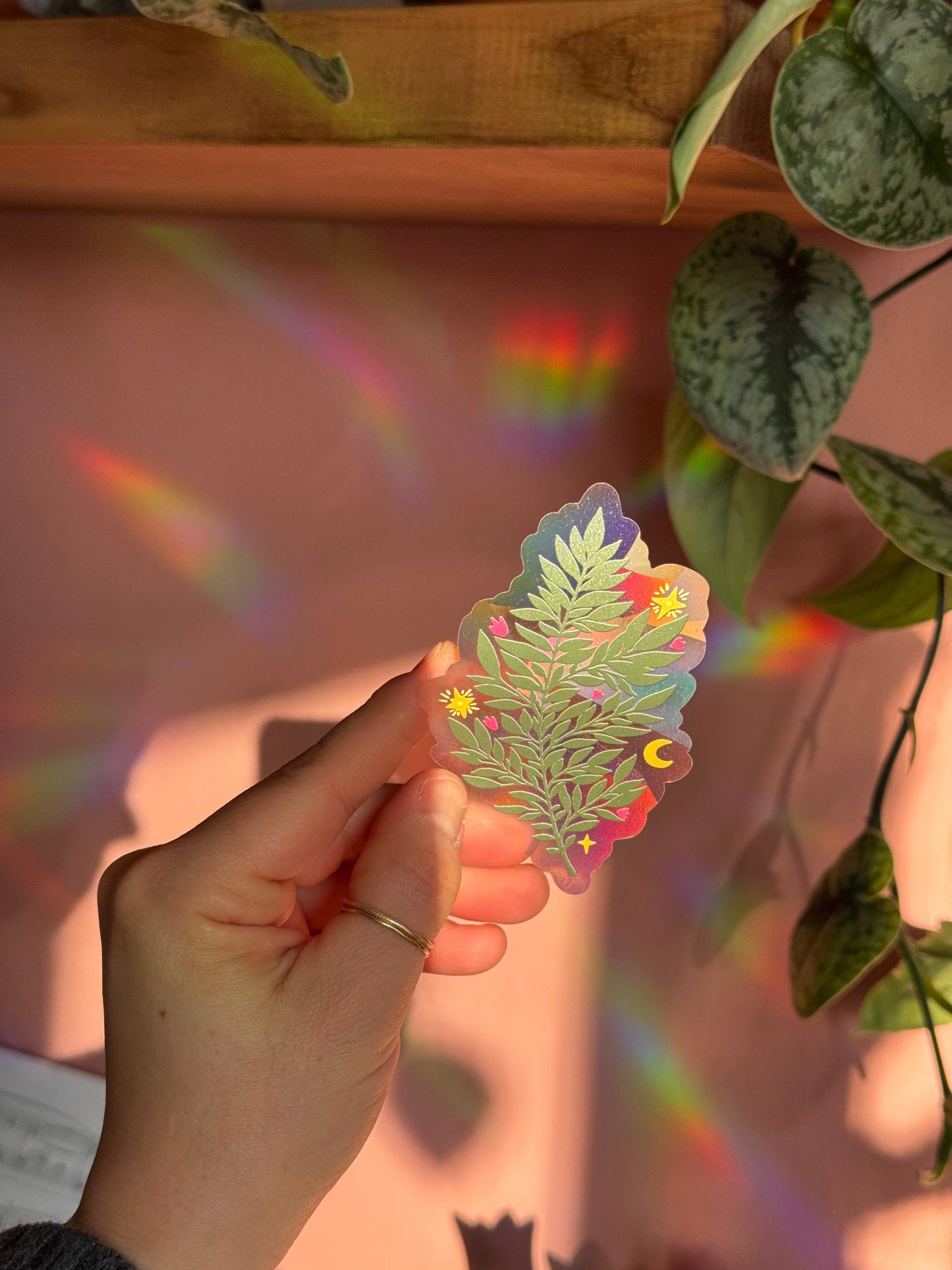 Suncatcher Decal // Fern