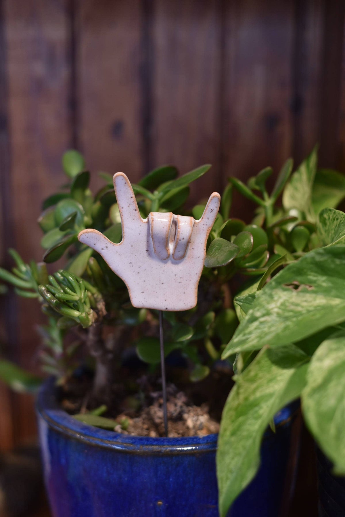 Plant Buddies - Love You Hands