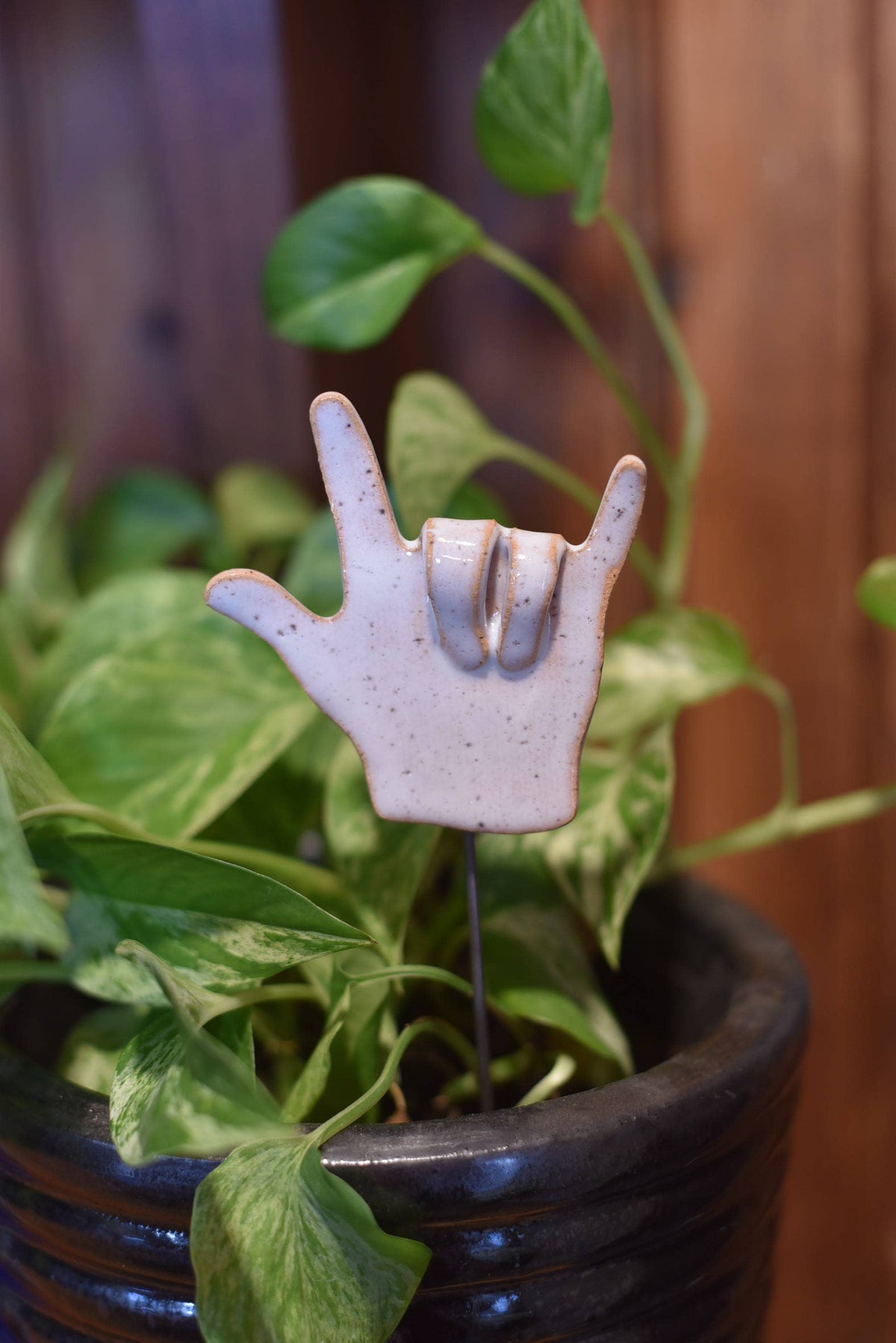 Plant Buddies - Love You Hands