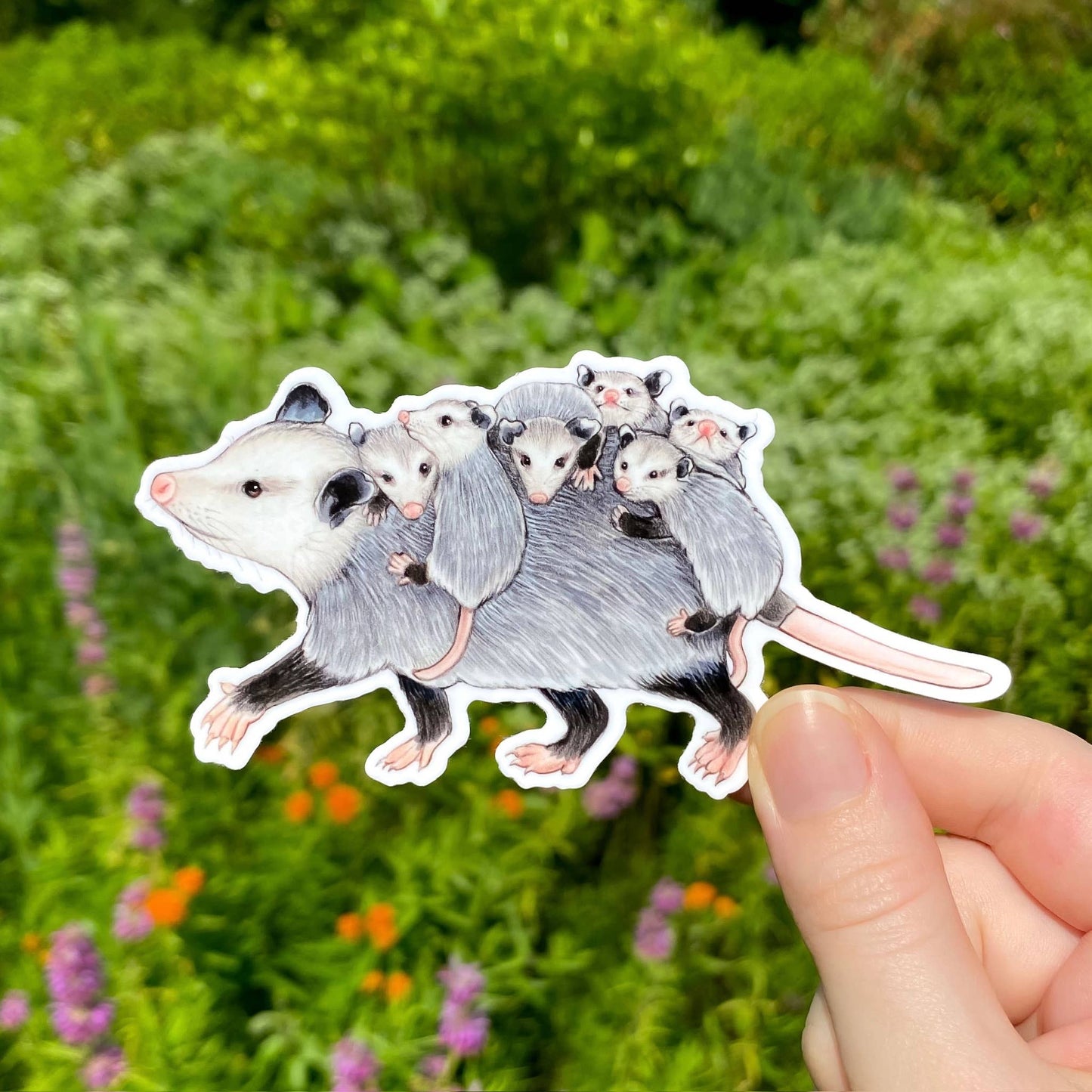 Mom Opossum with Babies Large Weatherproof Vinyl Sticker