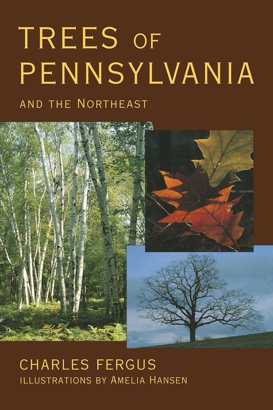 Trees of Pennsylvania and the Northeast