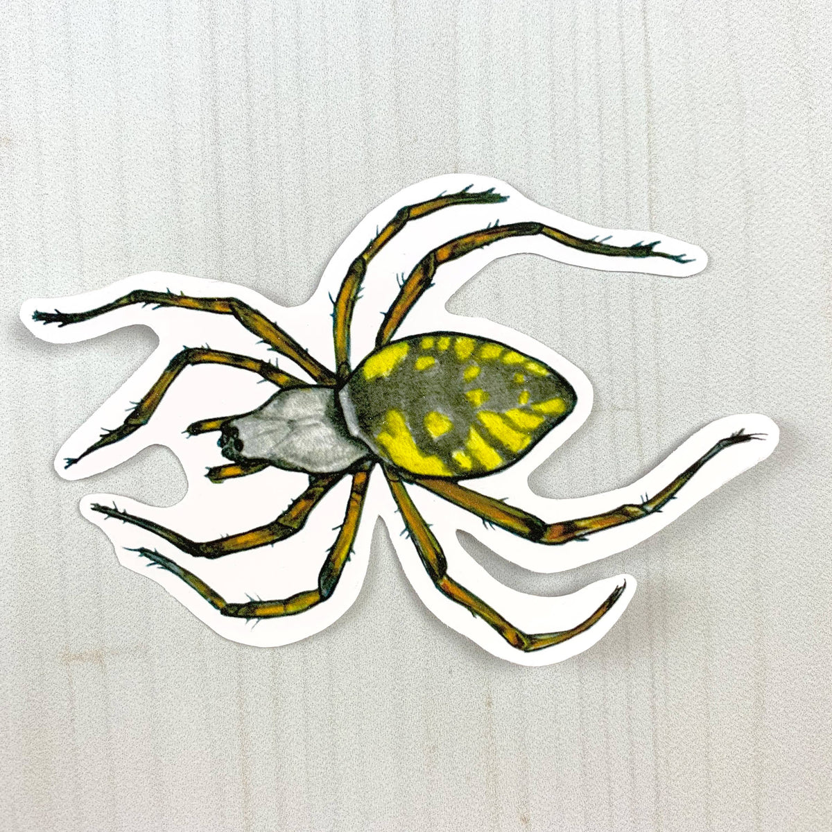 Yellow Garden Spider Matte Vinyl Sticker