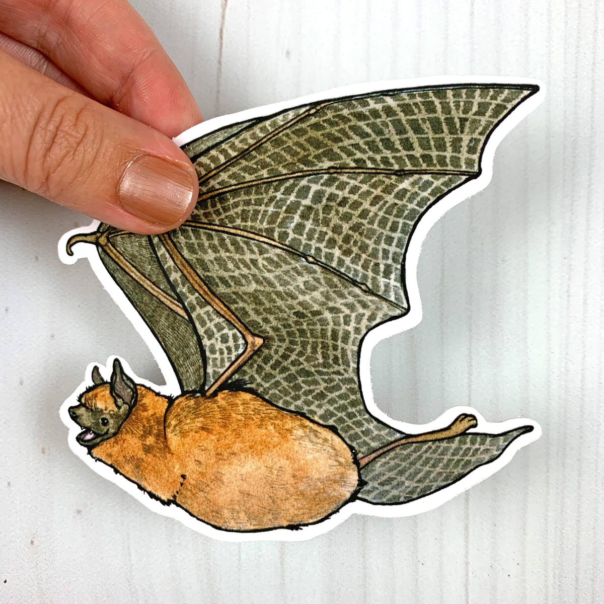 Little Brown Bat Vinyl Sticker