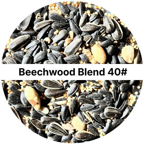 Beechwood Blend Mixed Sunflower Seed 40#