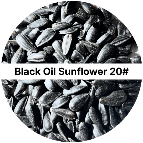 Black Oil Sunflower Seed 20#