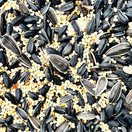 Beechwood Blend Mixed Sunflower Seed 10#