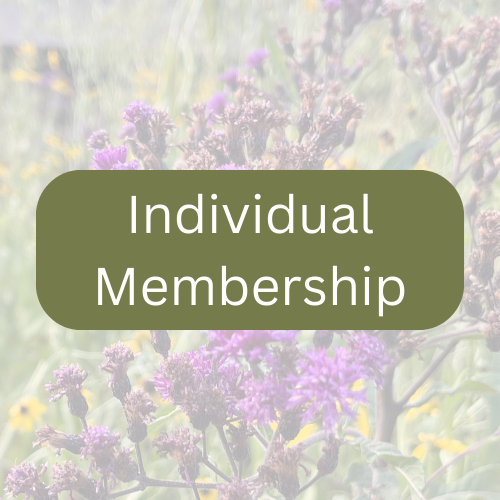 Individual Membership