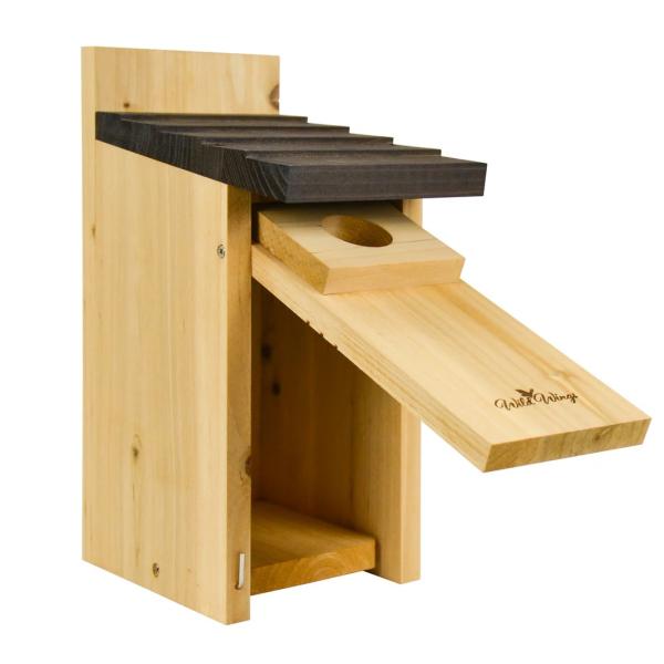 Bluebird Box House