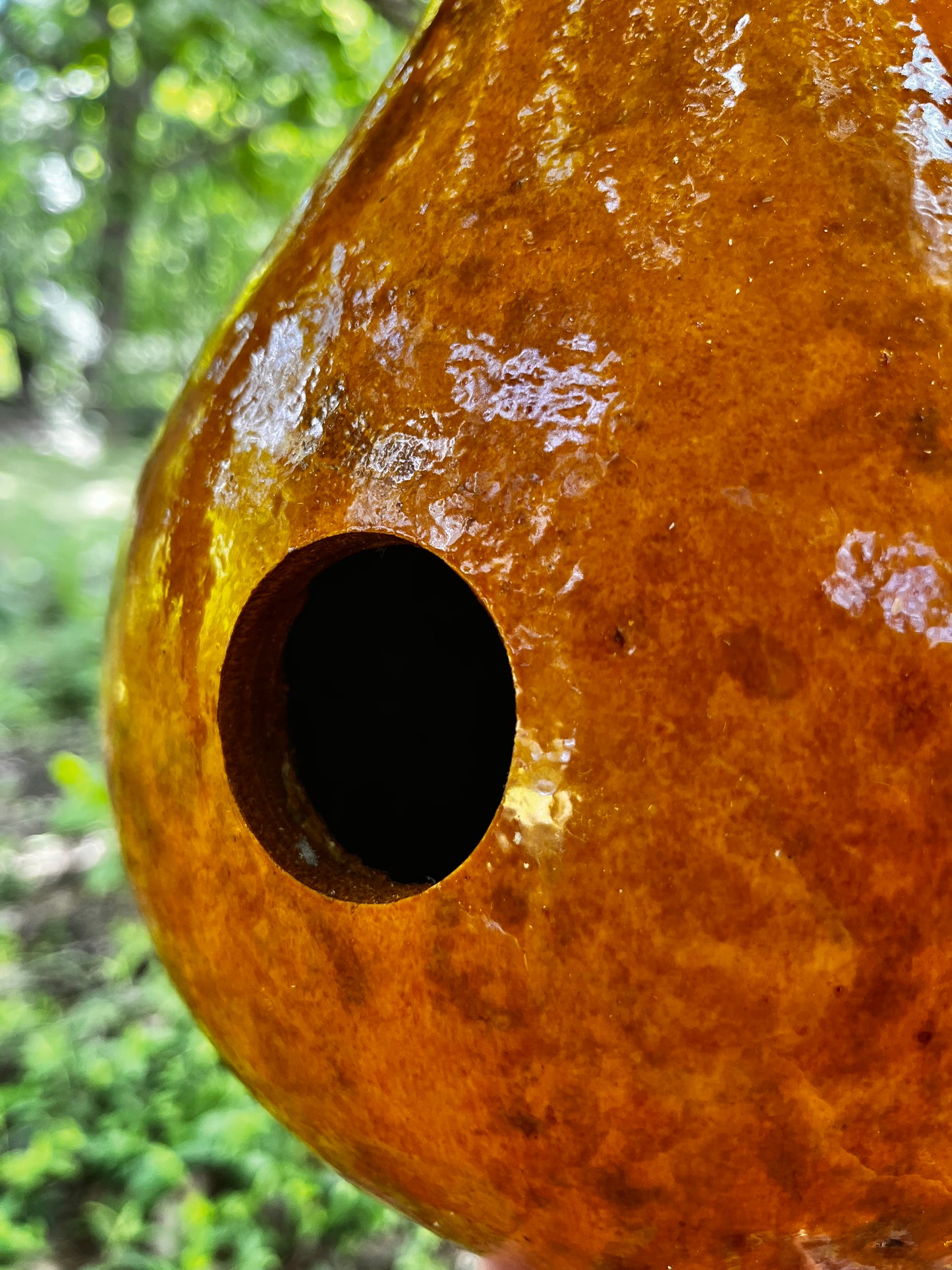 Handcrafted Gourd Birdhouse