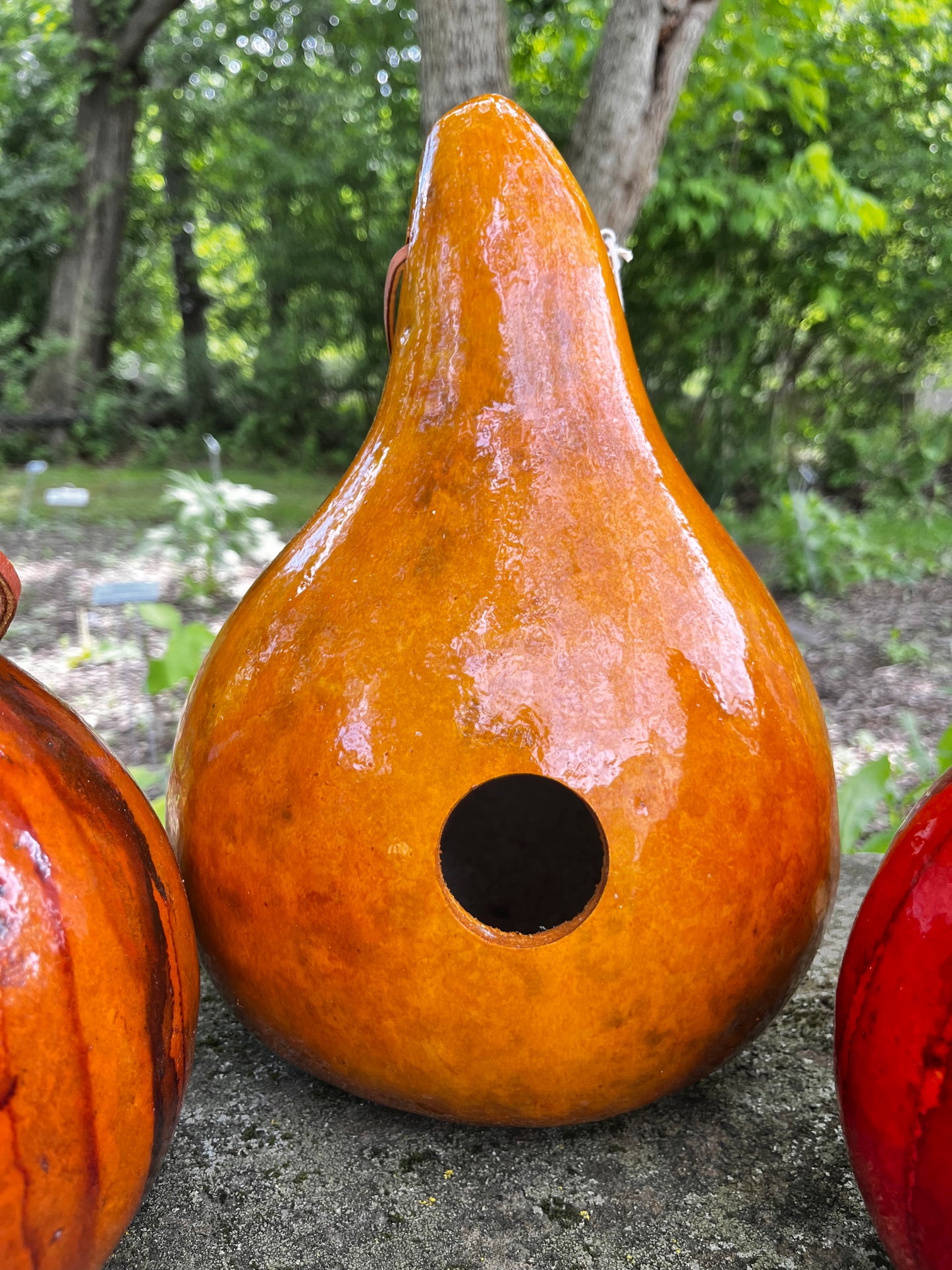 Handcrafted Gourd Birdhouse