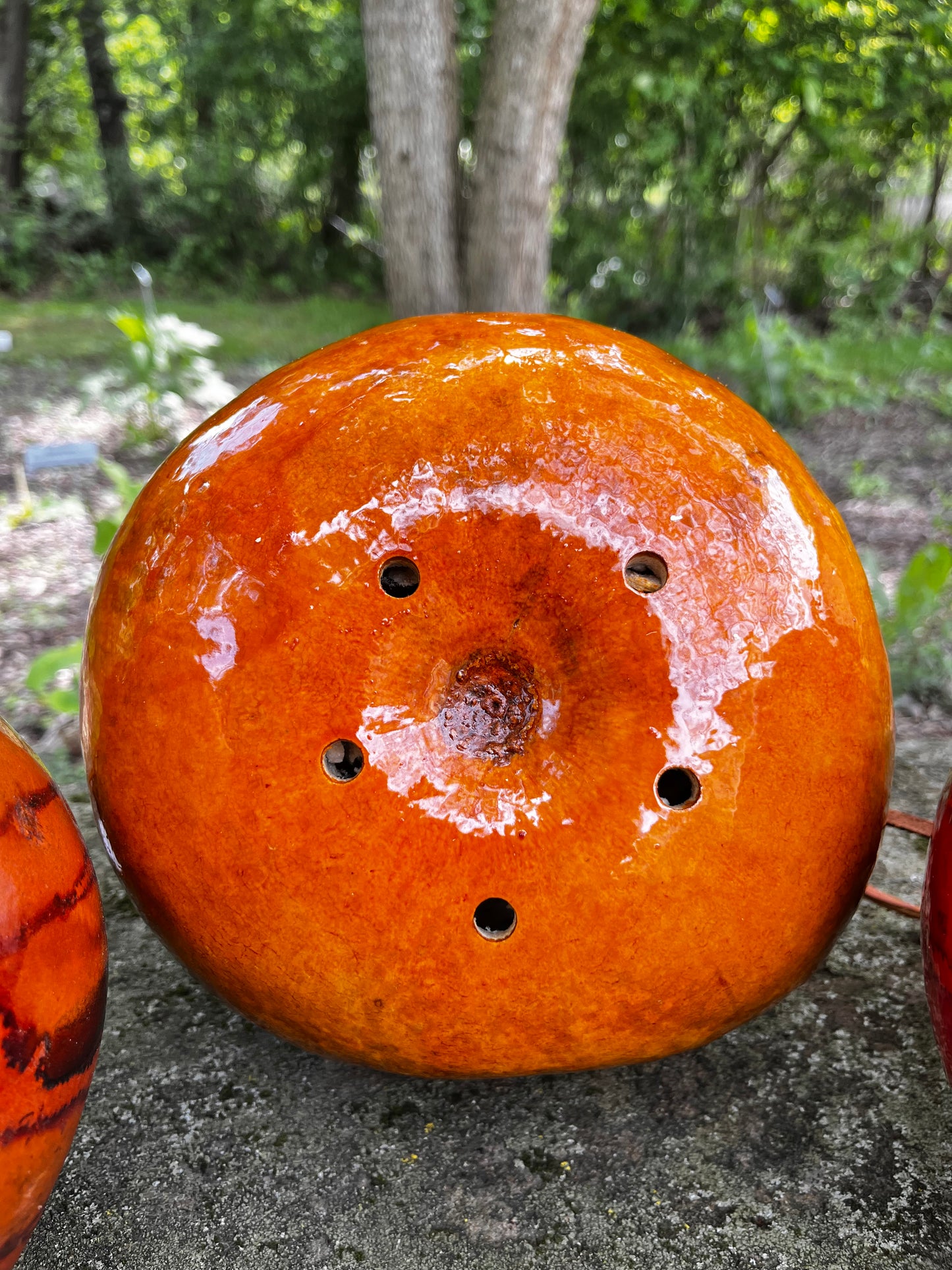 Handcrafted Gourd Birdhouse