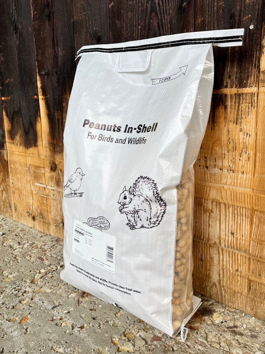 Whole Peanuts (in shell) 10#