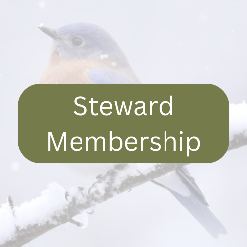 Steward Membership