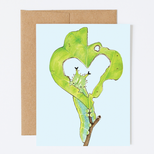 Cute Caterpillar with Heart A2 Greeting Card (Love/Everyday)