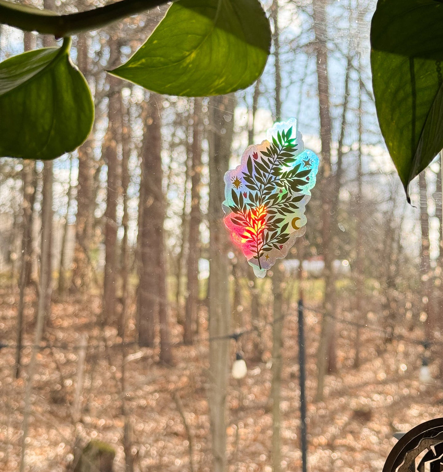 Suncatcher Decal // Fern