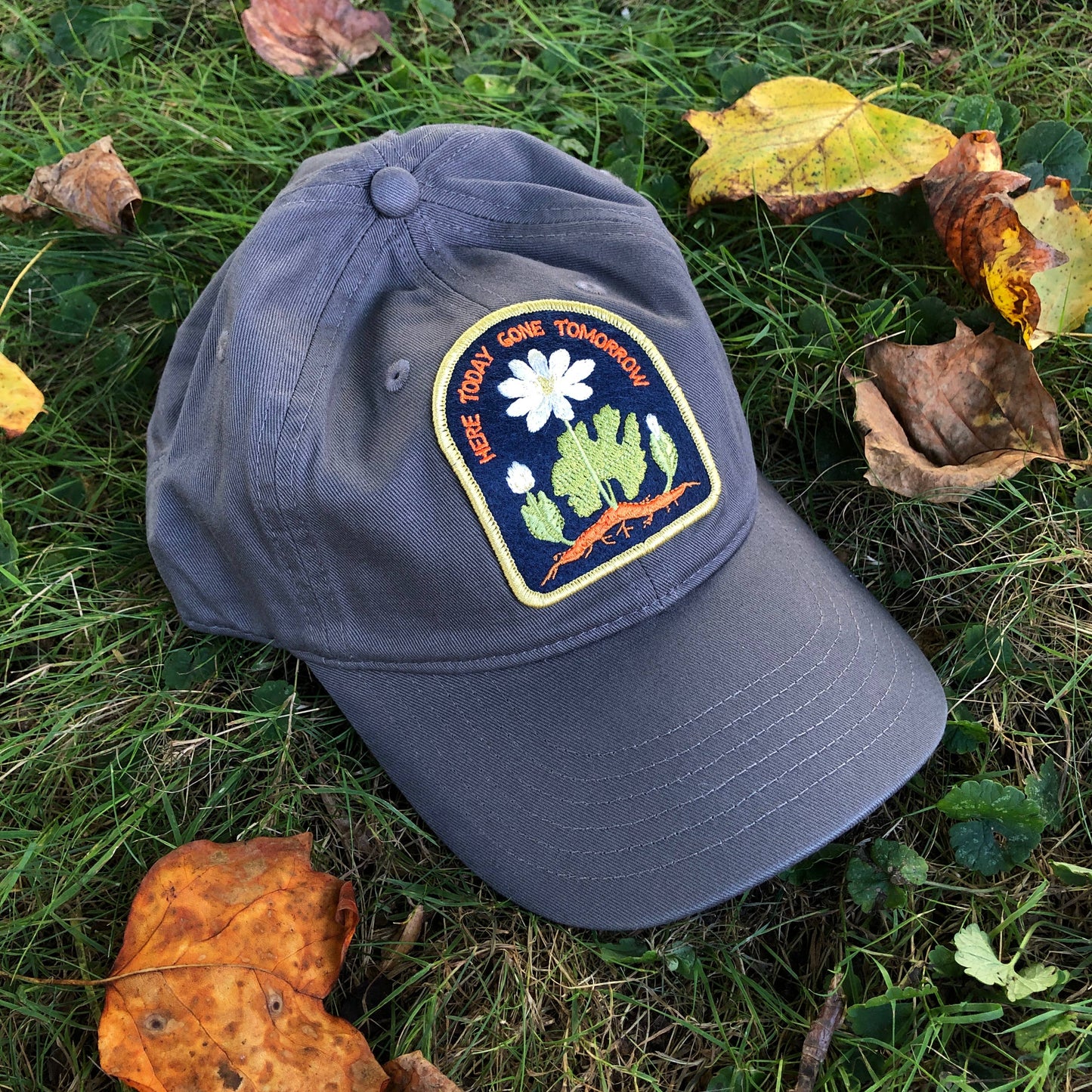 Bloodroot Organic Cotton Native Plant Patch Hat