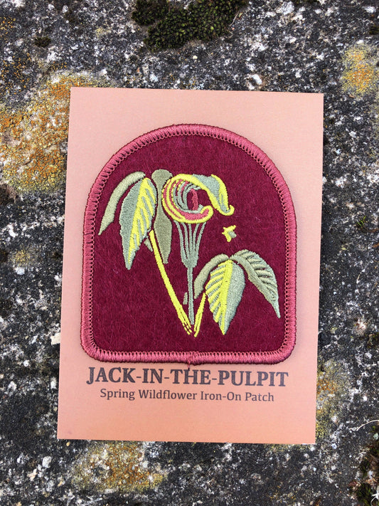 Jack in the Pulpit Patch