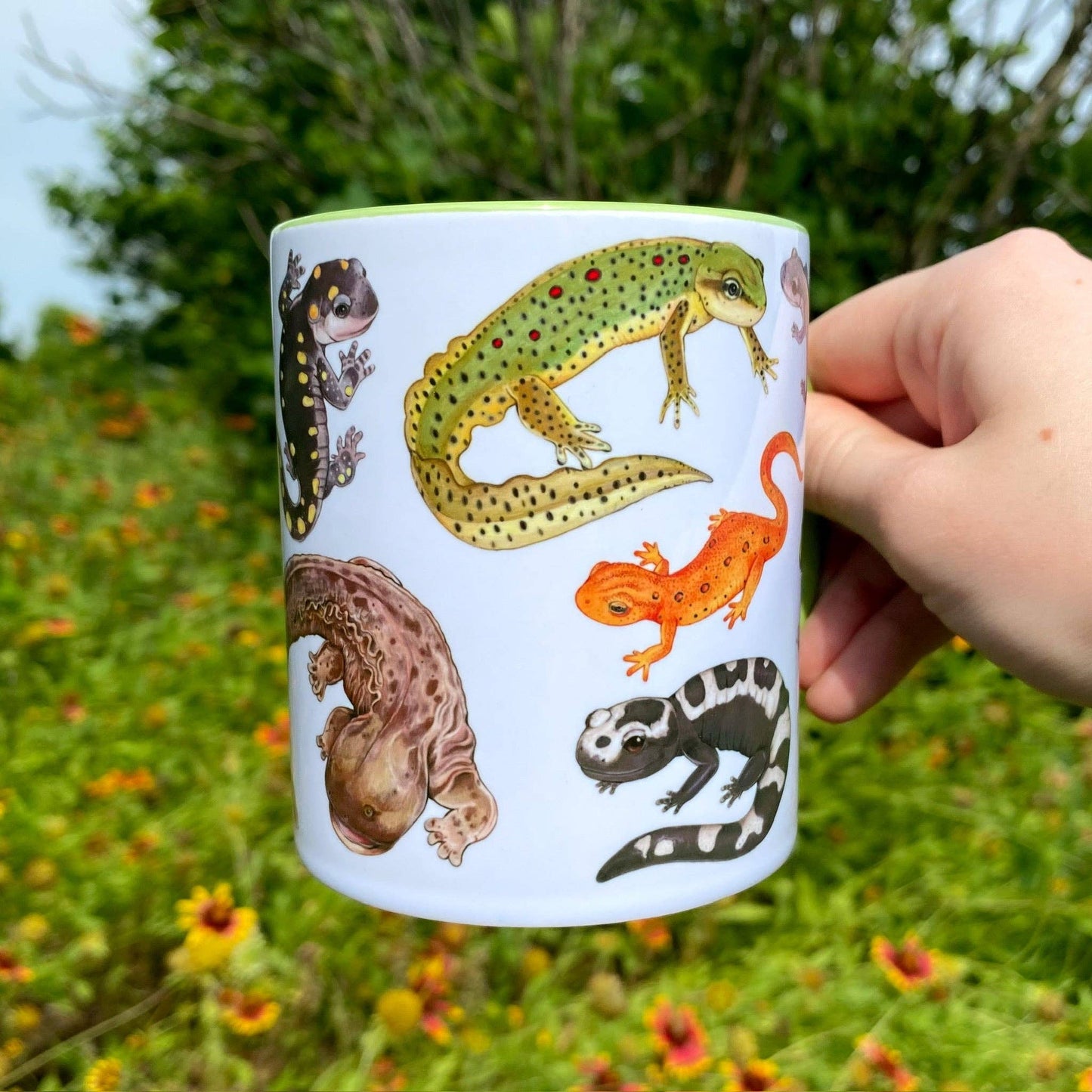 Salamanders of the Eastern United States Mug