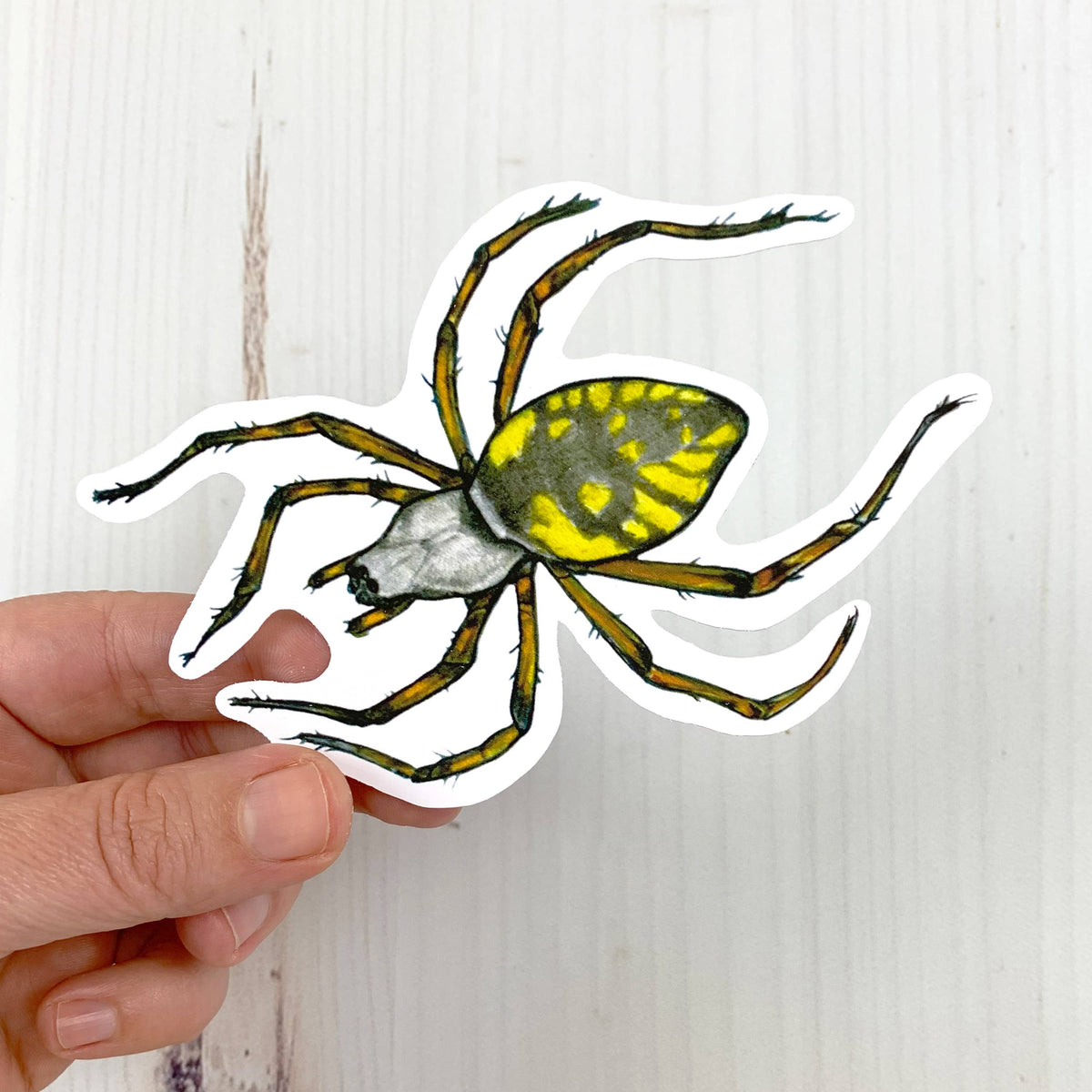 Yellow Garden Spider Matte Vinyl Sticker