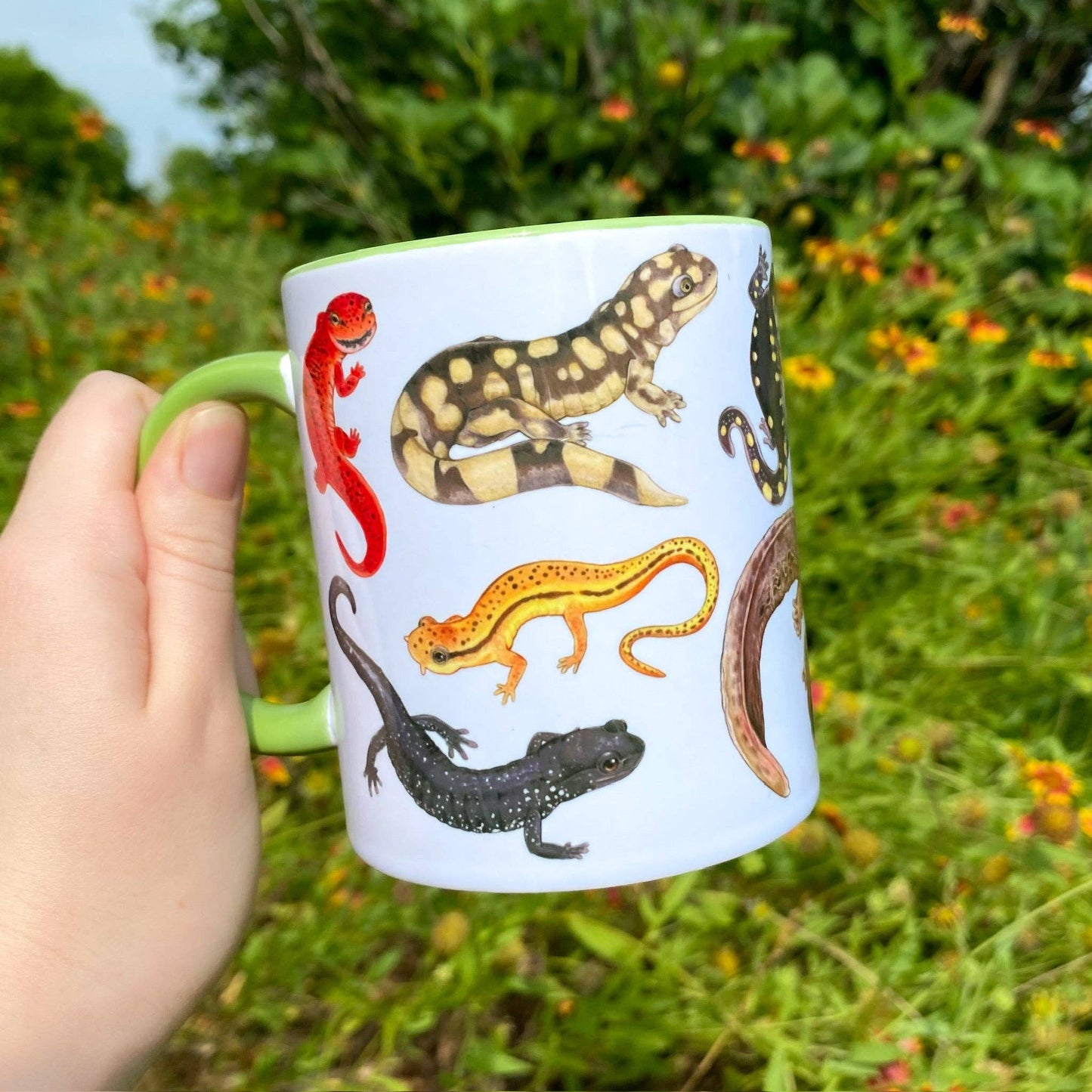 Salamanders of the Eastern United States Mug