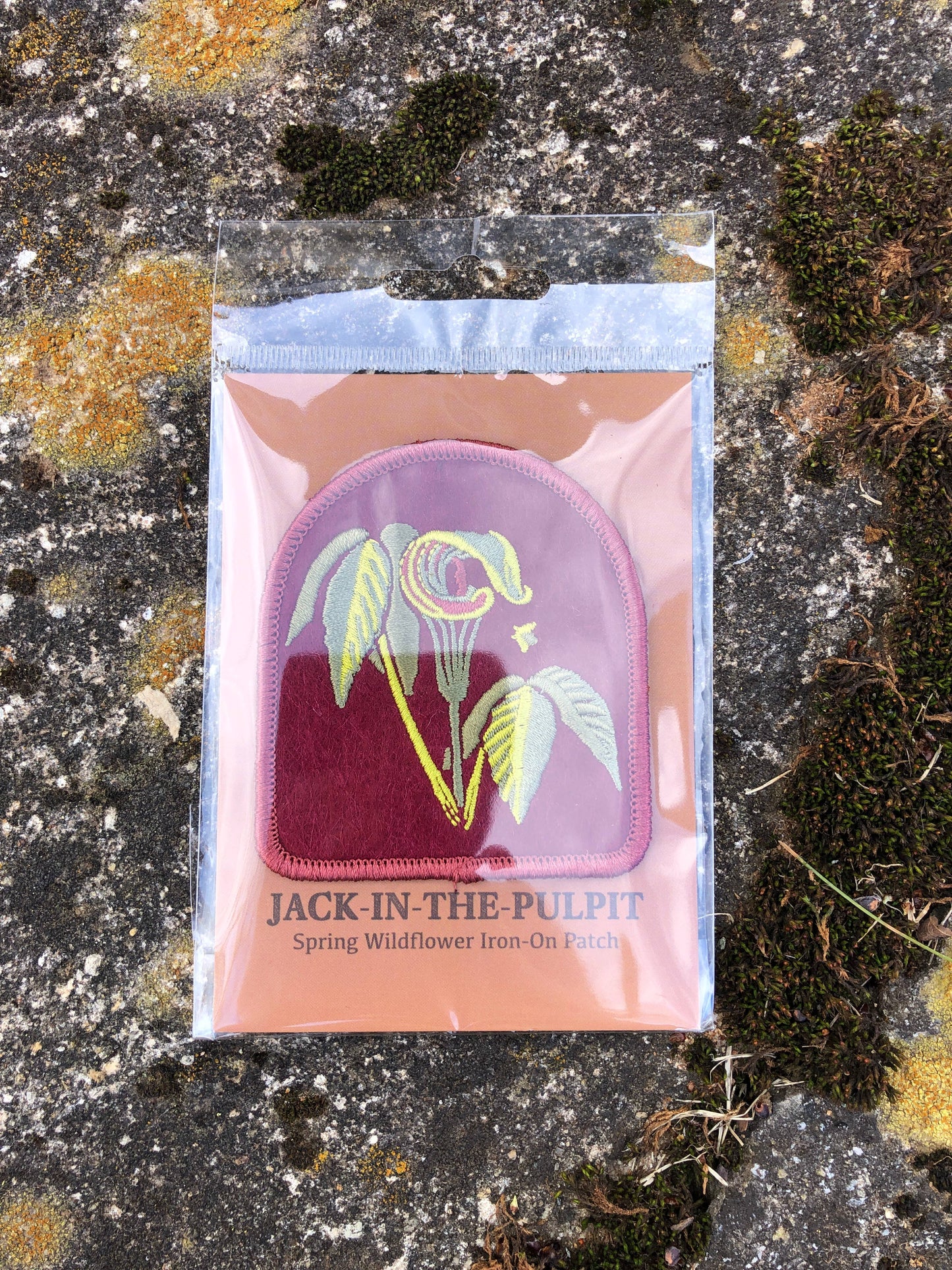 Jack in the Pulpit Patch