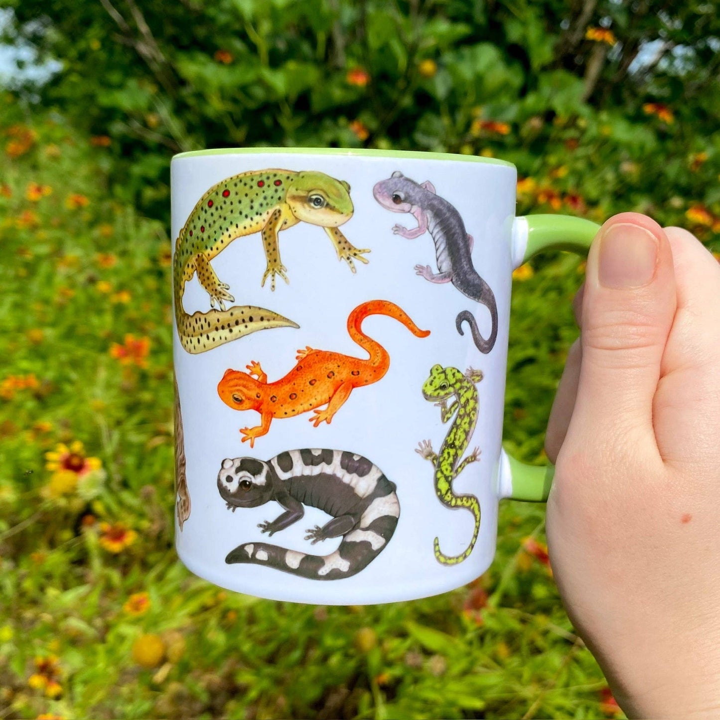 Salamanders of the Eastern United States Mug