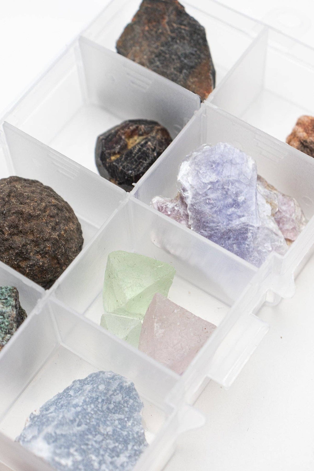 Field Specimen Collecting Box