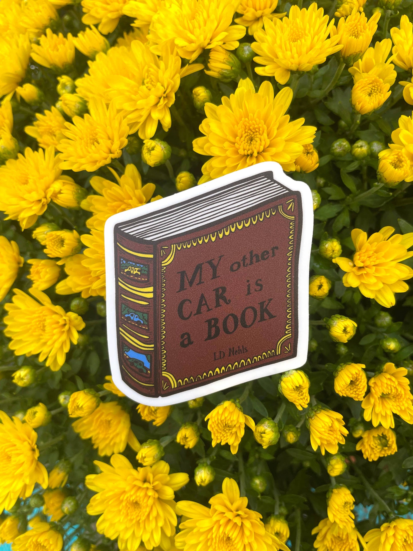 My other Car is a Book