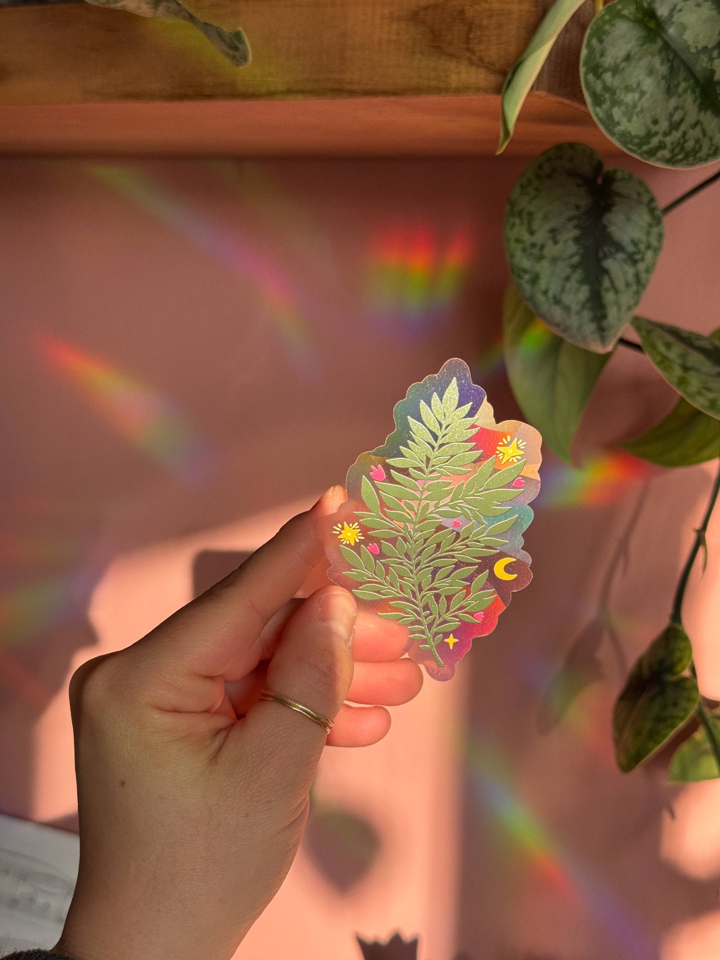 Suncatcher Decal // Fern