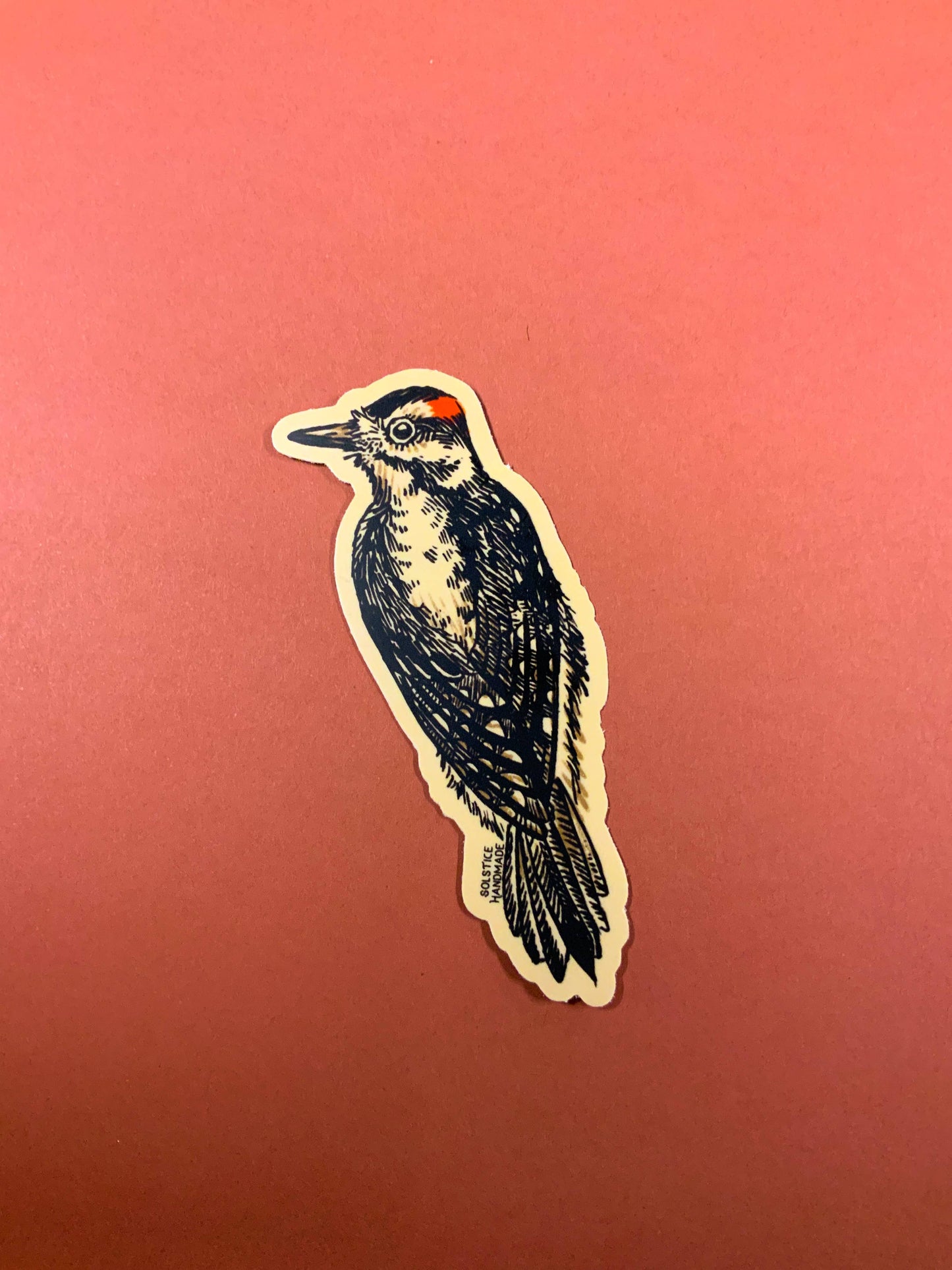 Woodpecker Sticker Set