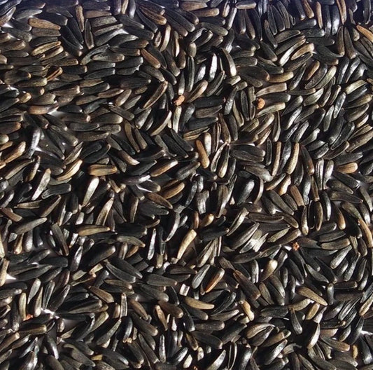 Nyjer (Thistle) Seed 10#